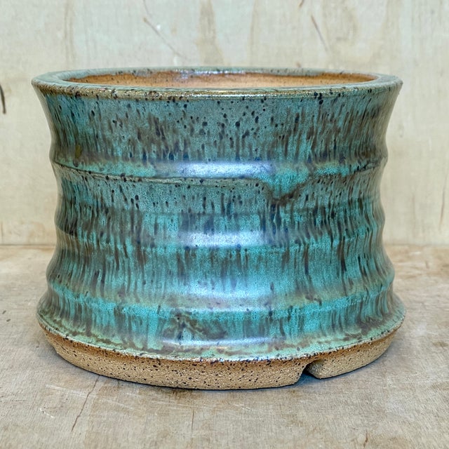Cloud-Hidden Plants Pottery | Cloud-Hidden Plants - Houseplants