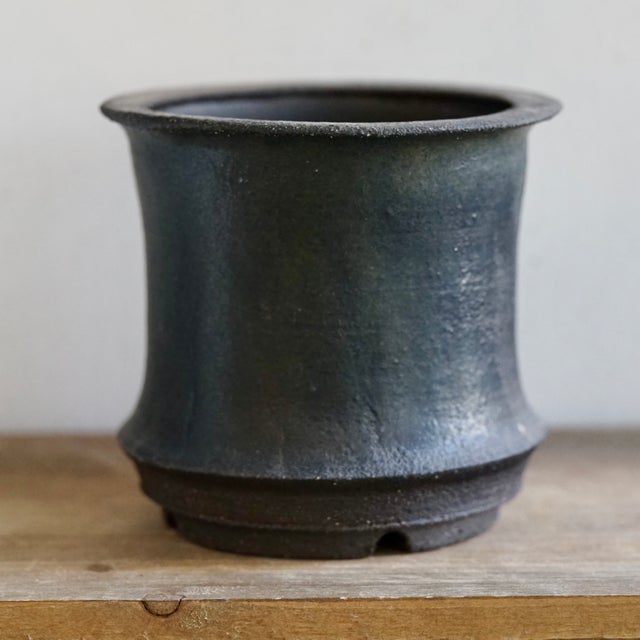 Cloud-Hidden Plants Pottery | Cloud-Hidden Plants - Houseplants