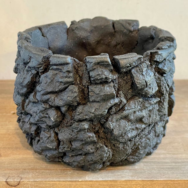 Cloud-Hidden Plants Pottery | Cloud-Hidden Plants - Houseplants