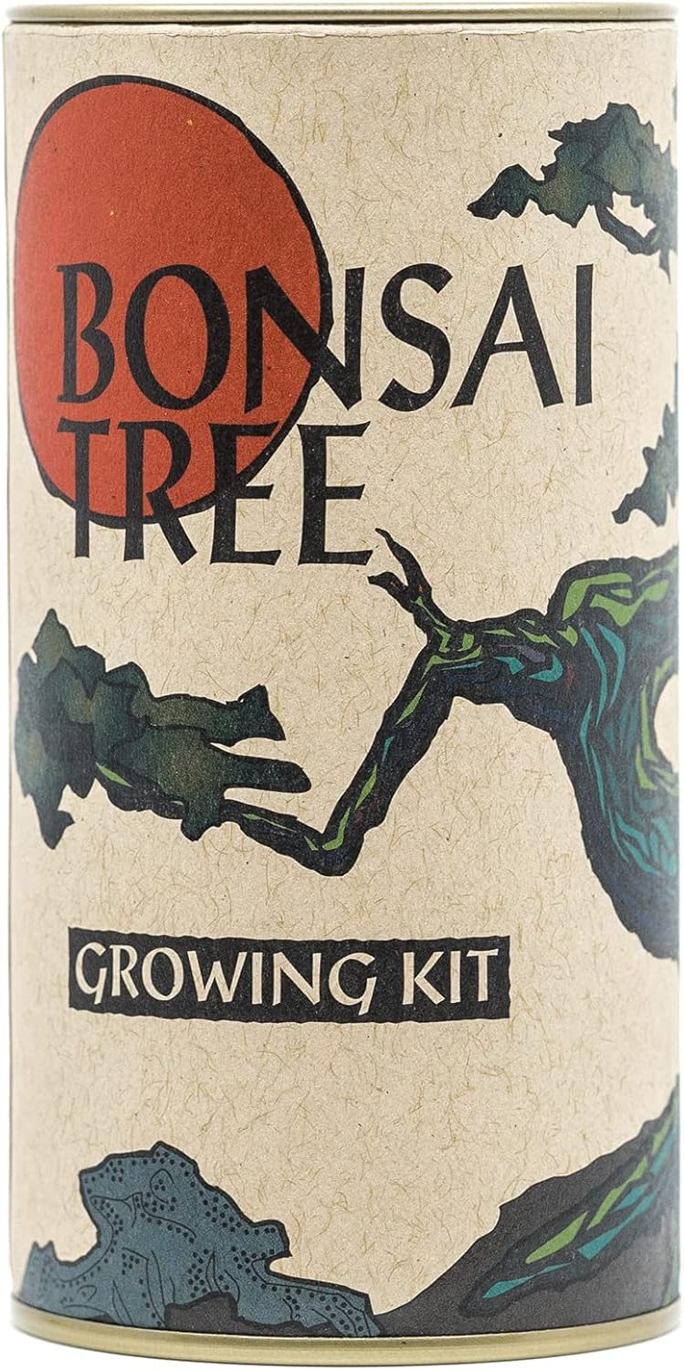 Bonsai Tree Seed Grow Kit - Japanese Maple - The Jonsteen Company - |  Cloud-Hidden Plants - Houseplants, Succulent Bonsai & Caudex San Francisco