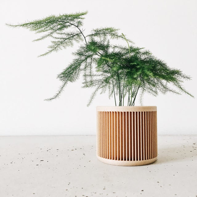 Planters | Cloud-Hidden Plants - Houseplants, Succulent Bonsai