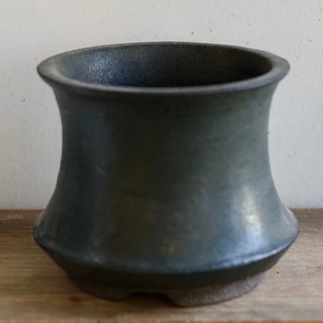 Cloud-Hidden Plants Pottery | Cloud-Hidden Plants - Houseplants