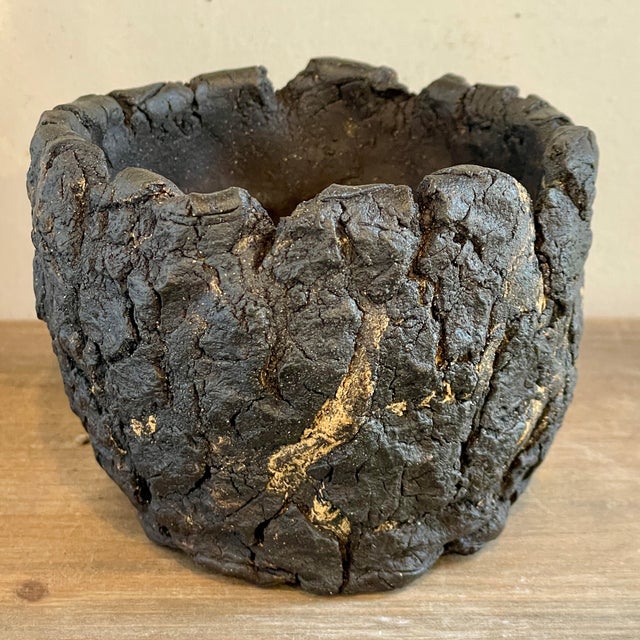 Cloud-Hidden Plants Pottery | Cloud-Hidden Plants - Houseplants