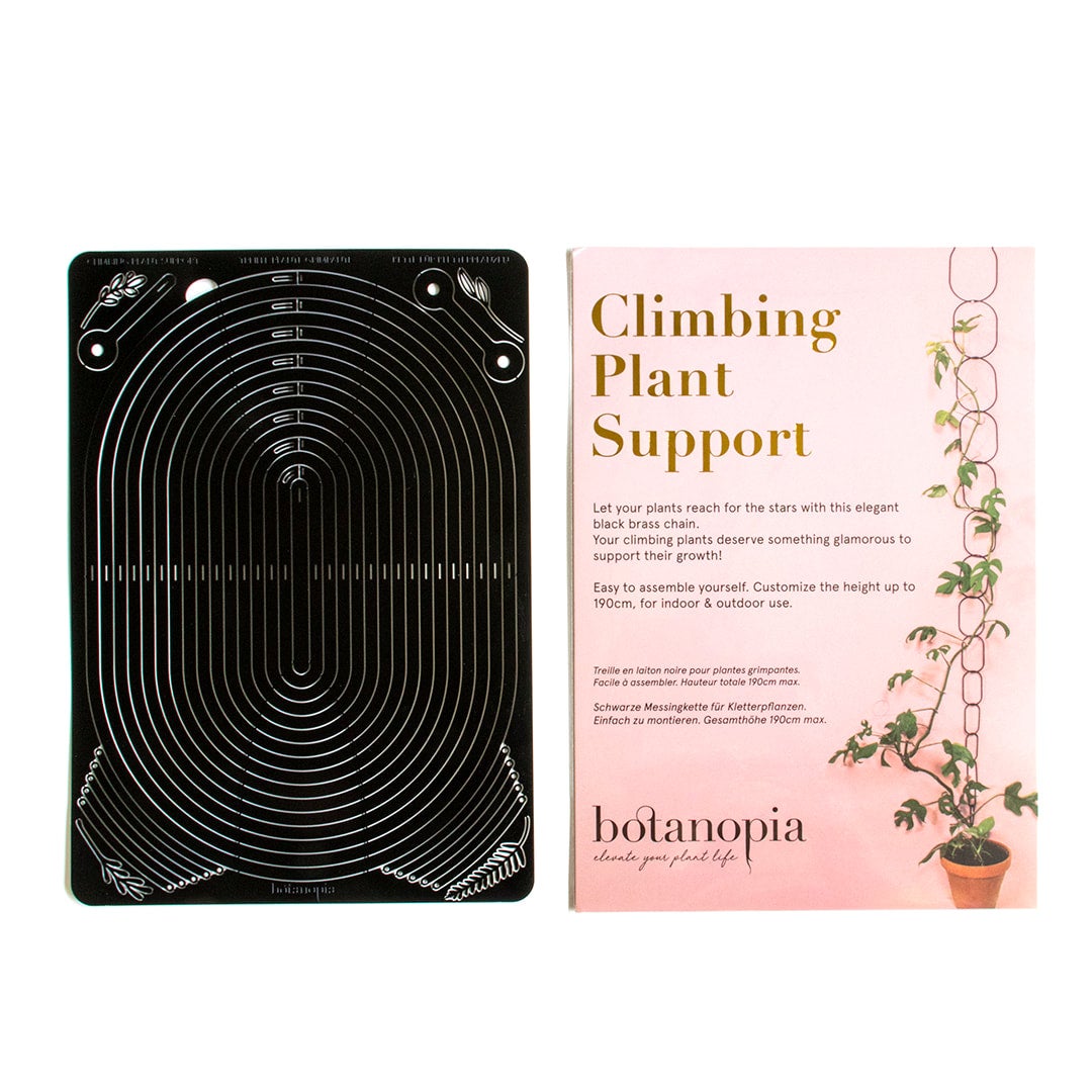 Black chain support for climbing plants by BOTANOPIA | Cloud-Hidden Plants  - Houseplants, Succulent Bonsai & Caudex San Francisco