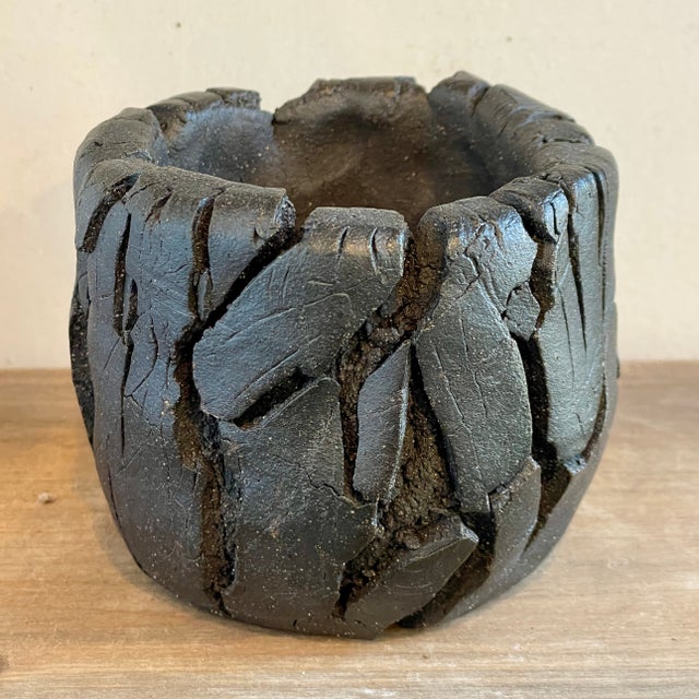 Cloud-Hidden Plants Pottery | Cloud-Hidden Plants - Houseplants