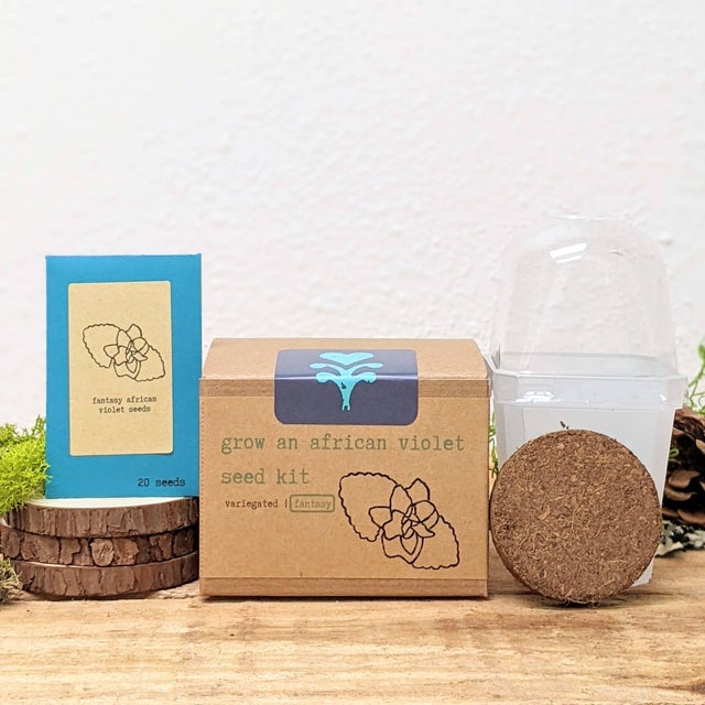 Seeds | Cloud-Hidden Plants - Houseplants, Succulent Bonsai