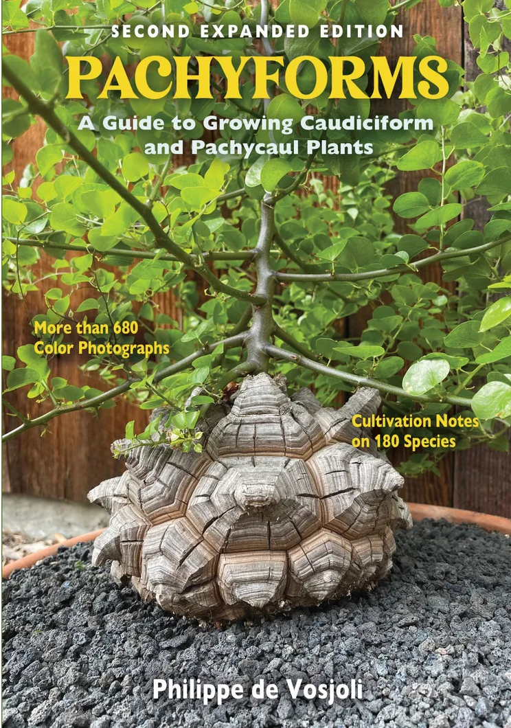 Caudiciform and Pachycaul Succulents: Pachycauls, Bottle