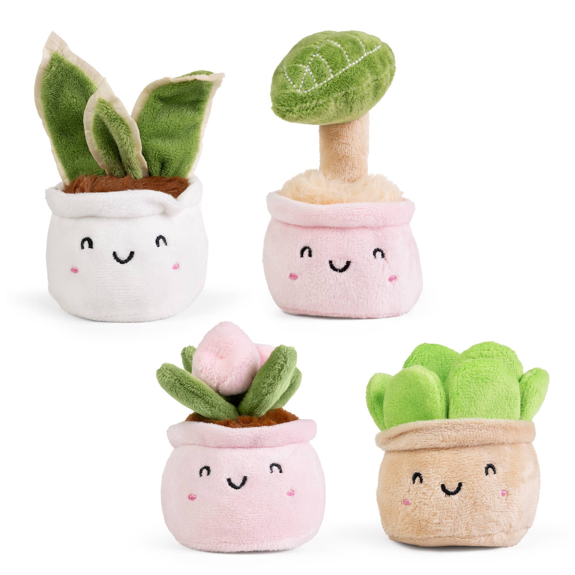 Little Greens - Cute succulent plant plush toys - by Keycraft |  Cloud-Hidden Plants - Houseplants, Succulent Bonsai & Caudex San Francisco