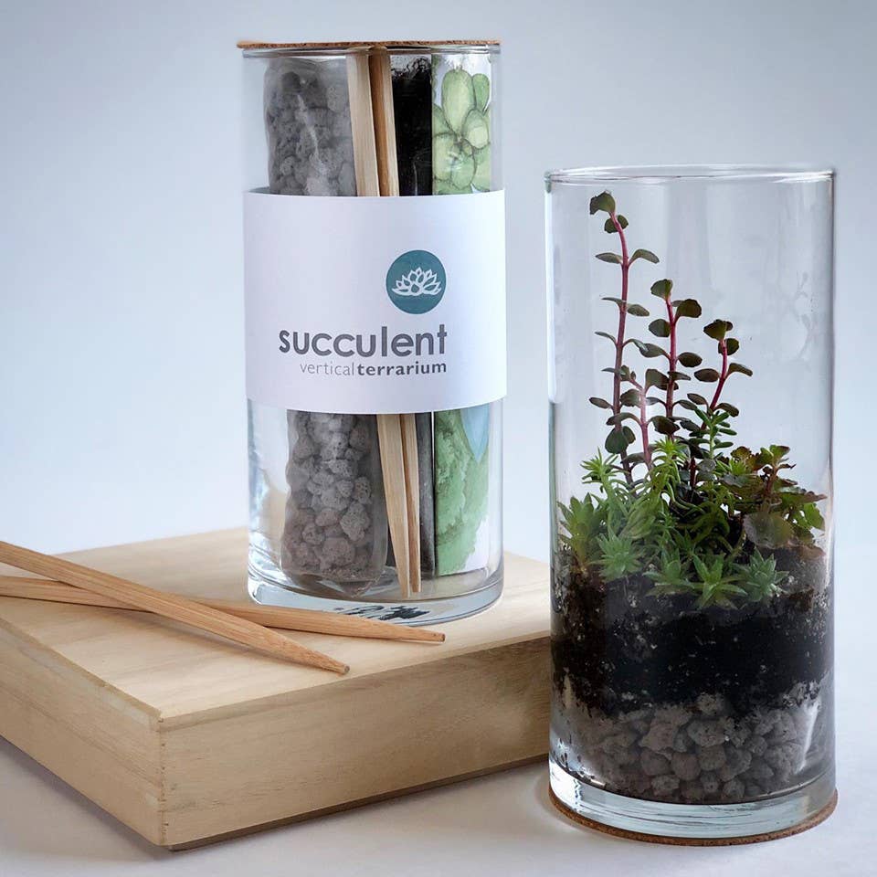 Vertical Succulent Terrarium CloudHidden Plants A Unique Plant
